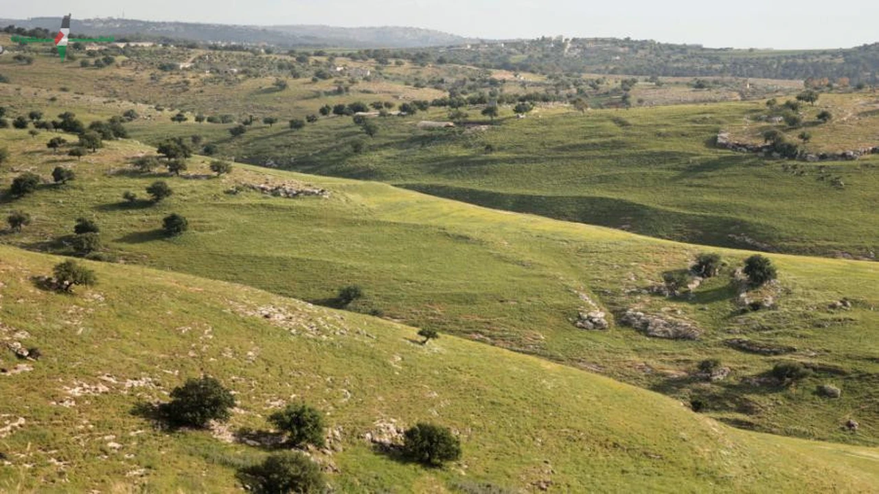 متى يكون الطقس معتدلاً في أغلب المناطق خلال النهار؟